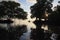 Kayaking amidst the mangroves of Key Biscayne, Florida.