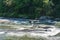 Kayaking on The Chattooga River, Opossum Creek Falls trail. head, Long Creek South Carolina