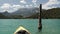 Kayaking on an emerald lake with mountain background. A yellow kayak sails past an old tree trunk.