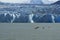 Kayaking with a glacier