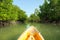 Kayaking through mangrove forest