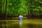 Kayaking in the mangrove jungle