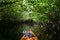 Kayaking mangrove tunnels of Turner River in Big Cypress National Preserve.