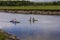 Kayaking on the Scarborough Maine Marshes