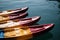 Kayaking sitting on the shore of a lake Concept Photo. Sport Colorful Plastic Kayak with water in the background.