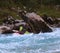 Kayaking on the Soca river, Slovenia