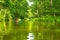 Kayaking by wild river in poland (Omulew river)