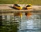 Kayaks on the beach