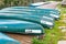 Kayaks or canoe for rent
