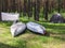 Kayaks in the forest on the grass in the parking lot of tourists.