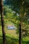 Kayaks, river and forest