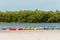 Kayaks, secured to the tropical, shoreline