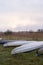 Kayaks of water tourists during a halt in the camp. Sunrise over morning swampy meadow surrounded by dry reed. Nature of Volyn