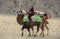 Kazak nomad man traveling with his camels