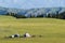 Kazak yurts at the grassland