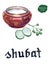 Kazakh cuisine, bowl of shubat or fermented camel milk