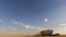 Kazakhstan, August 2018. A close-up of a combine harvester on a field passing from left to right. Harvesting of wheat. Copy space