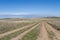 Kazakhstan steppe with rolling dirt roads