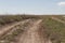 Kazakhstan steppe with rolling dirt roads