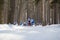 KAZAN, RUSSIA - March, 2018: Athletes skiers running Kazan ski marathon in the winter woods
