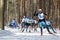 KAZAN, RUSSIA - March, 2018: professional sportsmen -athletes skiers running ski marathon