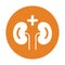 Kdneys, nephrology icon. Orange color vector EPS