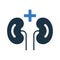 Kdneys, nephrology icon. Simple editable vector design isolated on a white background