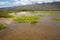 Kealia Pond with several Hawaiian stilts