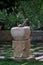 Kebbeh Making Stone Container, Lebanon