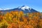 Kebler pass in autumn