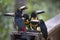 Keel-Billed Toucan Bird Group Feeding Macaw Mountain Rainforest Wildlife Reserve Copan Honduras
