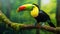 Keel-billed Toucan, Ramphastos sulfuratus, bird with big bill sitting on the branch in the forest,