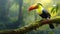 Keel-billed Toucan, Ramphastos sulfuratus, bird with big bill sitting on the branch in the forest,