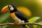 Keel-billed Toucan, Ramphastos sulfuratus, bird with big bill. Toucan sitting on the branch, generative ai