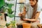 Keen woman in living room, replanting house plant from pot to pot. Cropped