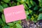 Keep it simple motivational quote written on pink paper on green garden and nature background. Peaceful, comfortable and