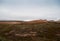 Keflavik Geothermal Area, Iceland - June 2018: Desolate landscape of Iceland volcanic soil with steamy mist and tourists