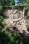 Kell, Germany - 06 16 2021: crumbling cliff in the Wolfsschlucht