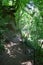 Kell, Germany - 06 16 2021: path through the Wolfsschlucht along a cliff