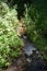 Kell, Germany - 06 16 2021: tiny stream in the Wolfsschlucht