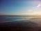 Kelp beds over blue seas blend into the horizon