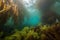 kelp forest with schools of fish and octopus hiding among the fronds