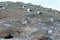 Kelp Gull, also known as the Dominican Gull, nesting at the penguin sanctuary on Magdalena Island in the Stra