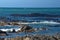 Kelp off a rocky coastline in Kleinbaai