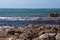 Kelp off a rocky coastline in Kleinbaai