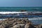 Kelp off a rocky coastline in Kleinbaai