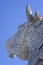 The Kelpies - in goliath\'s shadow