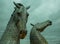 The Kelpies - a sculpture of a pair of giant metallic silver horse heads in Falkirk, Scotland