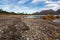 Kelps, seaweeds, seashells washed up on Freycinet national park