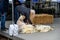 Kelsey Creek Farm Park heritage event, woman demonstrating sheep shearing on a white s